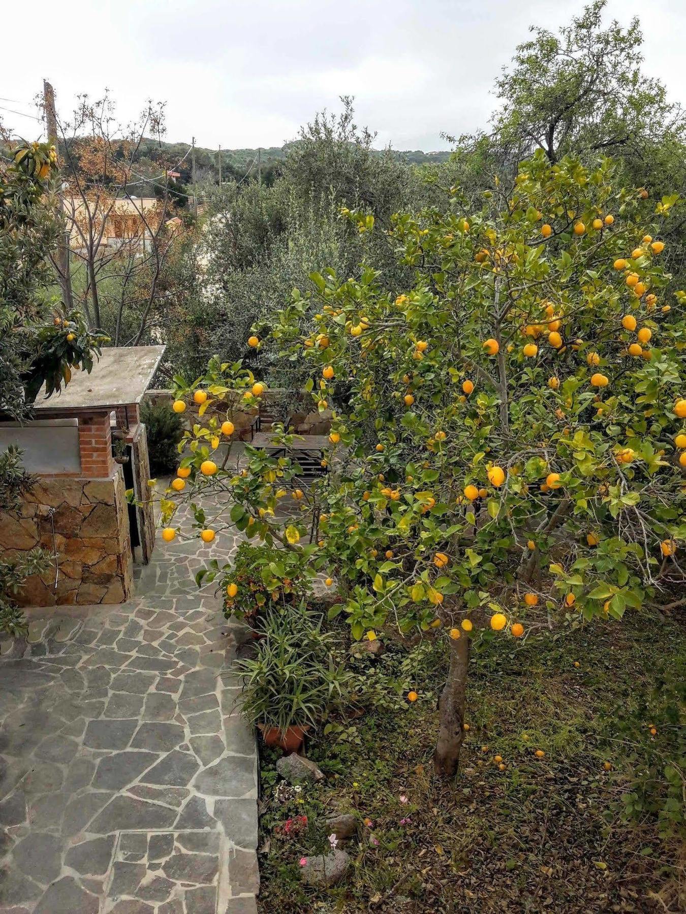 Villa Arancio Giorgio Cala Liberotto Exteriér fotografie